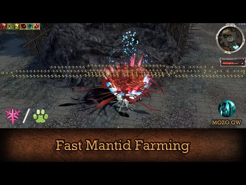 Mantid, Celestial Weapon Farm -  Guild Wars Assassin Farm A/R - HM