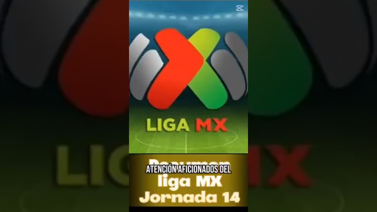 Todo lo que pasó en la Jornada 14
