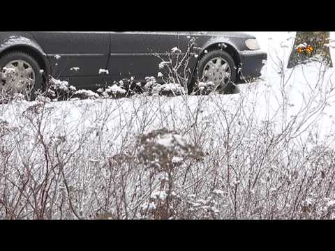 Ser inte lovande ut för en vit jul