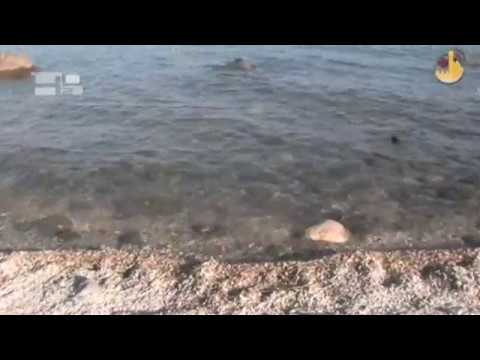 En el lago con Jesús