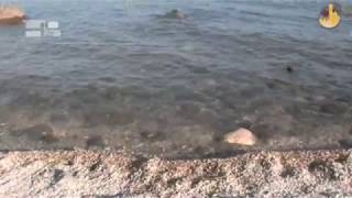 En el lago con Jesús