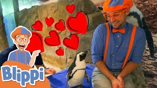 Download lagu Blippi Learns About Animals & Fish At The Aquarium! |  Educational Videos For Kids mp3