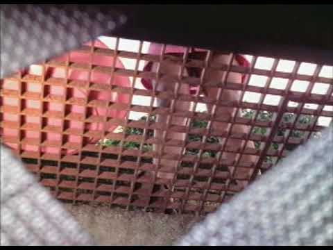 download lagu mp3 mp4 Movies Portugal, download lagu Movies Portugal gratis, unduh video klip Movies Portugal