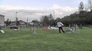 preview picture of video 'Agility dog Maya Siberian Husky 02'