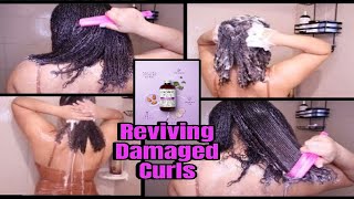 REPAIRING DAMAGED CURLS| REALISTIC EXPECTATIONS| MINI VLOG?