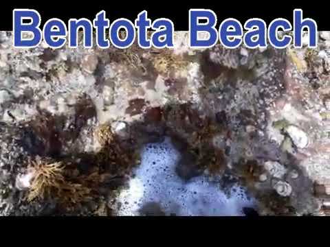 Rock of Bentota Beach