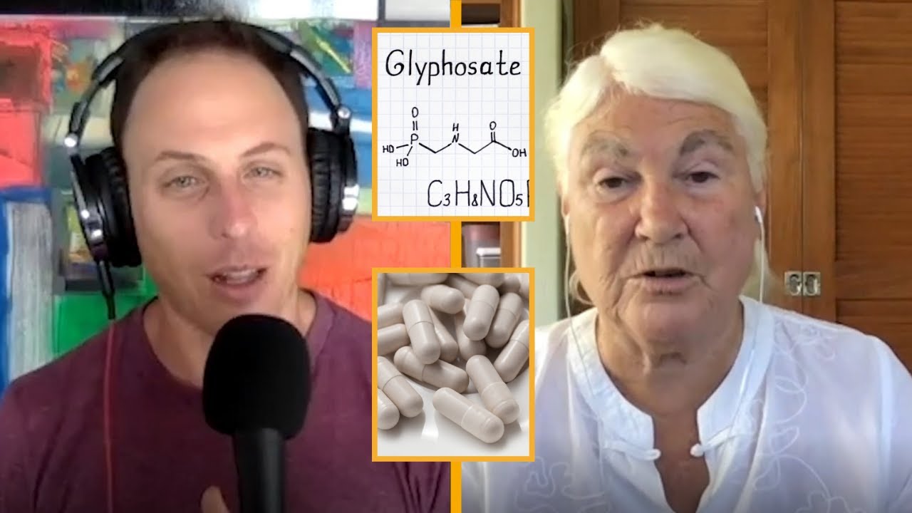 GLYPHOSATE DYSRUPTS GLUTATHIONE with  Dr  Stephanie Seneff Youtube