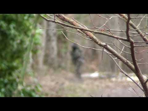 racoon apv death ghost