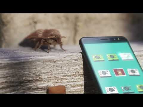 Video preview