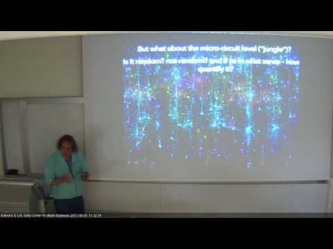 Tri center 2017 - Idan Segev