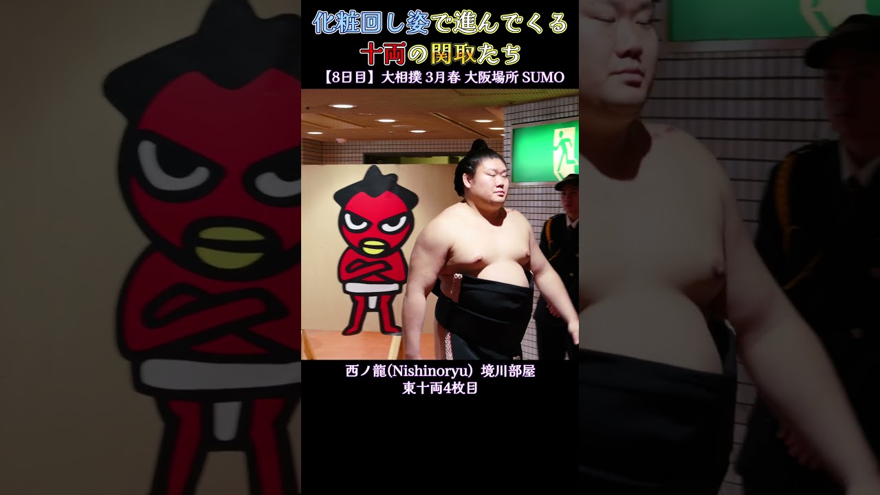 化粧回し姿で進んでくる十両の関取たち❗  【大相撲 3月春場所 2026年 】 Sumo