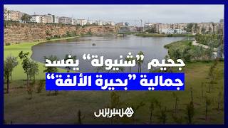 بين جمالية "بحيرة الألفة" وجحيم "شنيولة".. ساكنة حي الفردوس تشتكي الروائح الكريهة وتطالب بالتدخل. thumbnail