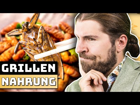 INSEKTEN - Das bessere Fleisch?