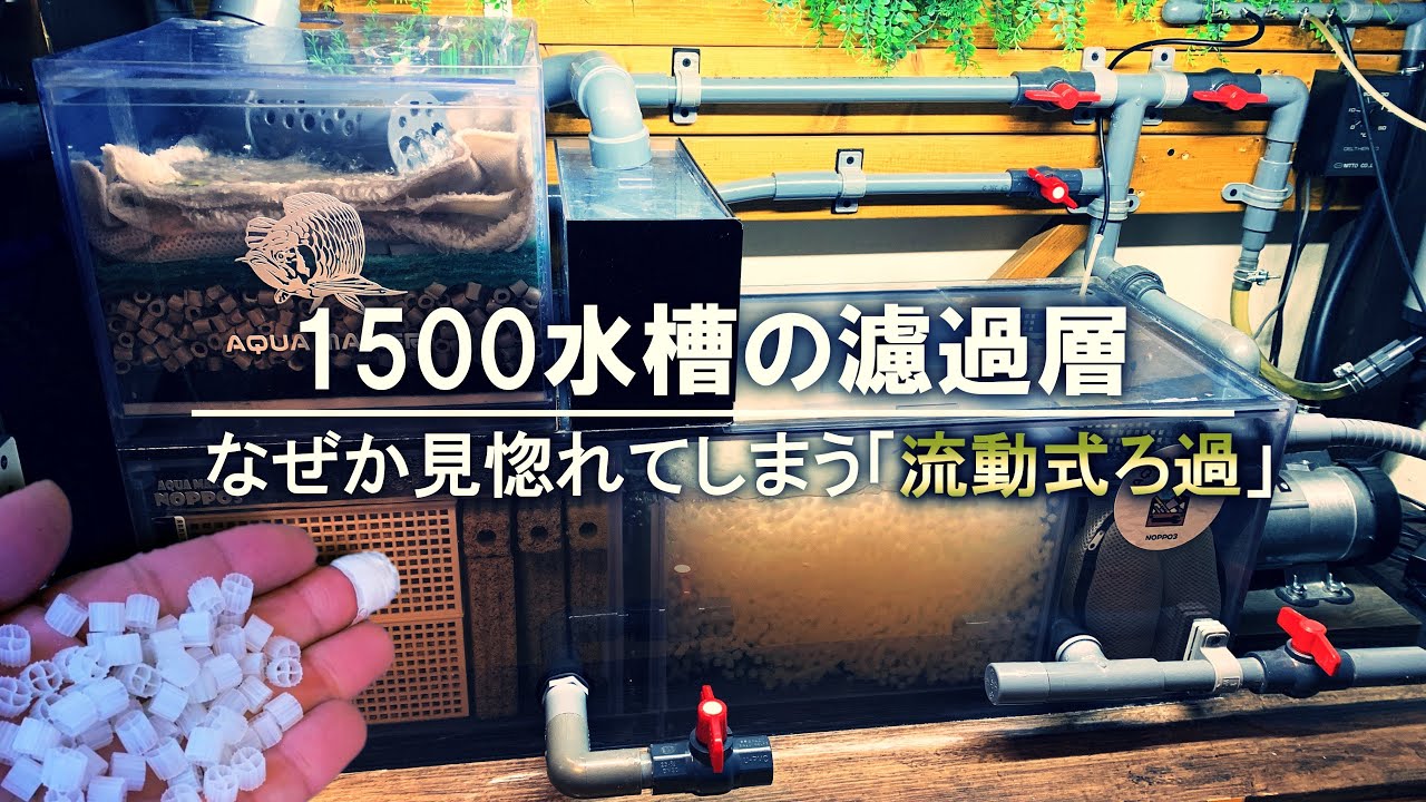【流動床濾過】の性能が凄すぎる！…我が家の1500水槽濾過システムを紹介！BMMR？
