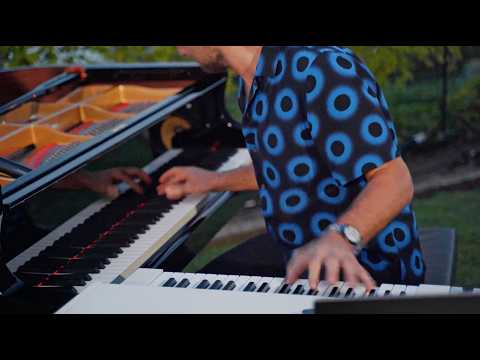 Pianotron by Zvjezdan Ružić: Abundance & Peace | Live at American Gardens