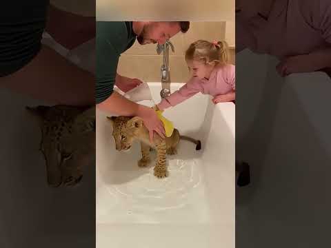 دور الاخ الاكبر في الحياة 🤔🤔 #shortvideo