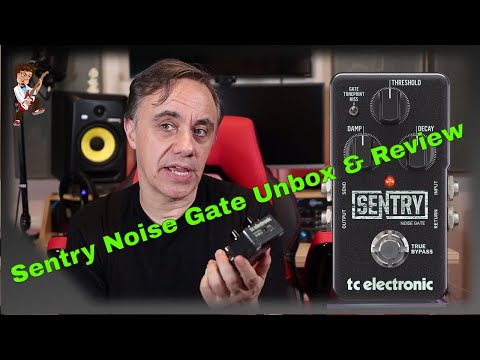 Sentry Noise Gate Review