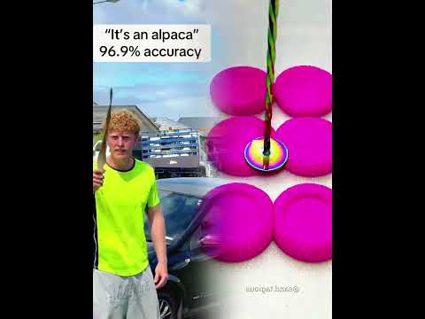 2 I beg ya pardon #alpaca #llama #accuracy #meme   #onlyinaustralia #viral #funny #comedу #skit