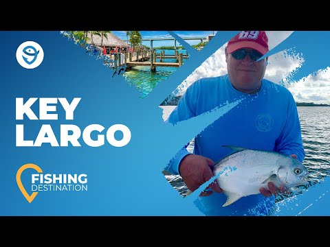 Key Largo Fishing: All You Need to Know | FishingBooker