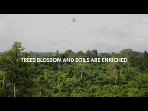 Cacao Barry - Thriving Nature - Carbon neutral chocolates