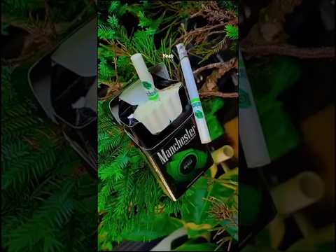 Manchester Green Blast 🟢⚫⚪ (Review Rokok import Original UK) 🔥🔥🔥