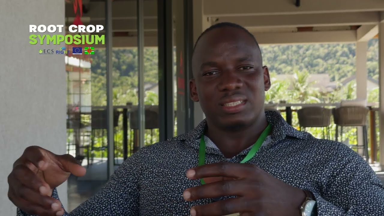 OECS Root and Tuber Crop Symposium Charts Plans to Reclaim Food Sovereignty