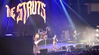 The Struts - In Love With A Camera live at Rock im Park 2019
