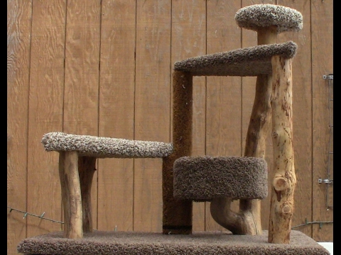 harry potter cat tree