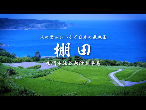 棚田PR動画（短編）
