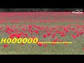 Mare Jivan Saathi Whatsapp Status Video Akshay Kumar