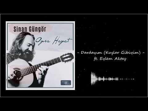 Video Yükleniyor...