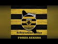 Schwarzer Adler - Forza AEKara