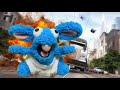 Crisp Jr S Adventures The RUN