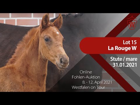 Fohlen-Auktion "Westfalen on Tour" 8.-12. April Lot 15 La Rouge W Stute v. La Vie-Floriscount