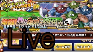 【どこパレ】春の陽気に誘われてを周回する！！