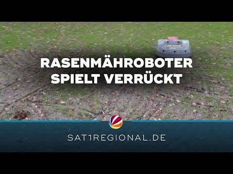 Rasenmähroboter verwüstet Fußballfeld in Aurich