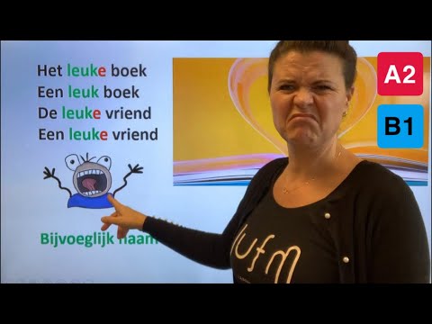 NT2 A2 B1 leukE vriend, leuk❌ boek😱BIJVOEGLIJK NAAMWOORD: Wanneer +E? MOEILIJK😰#learndutch #grammar