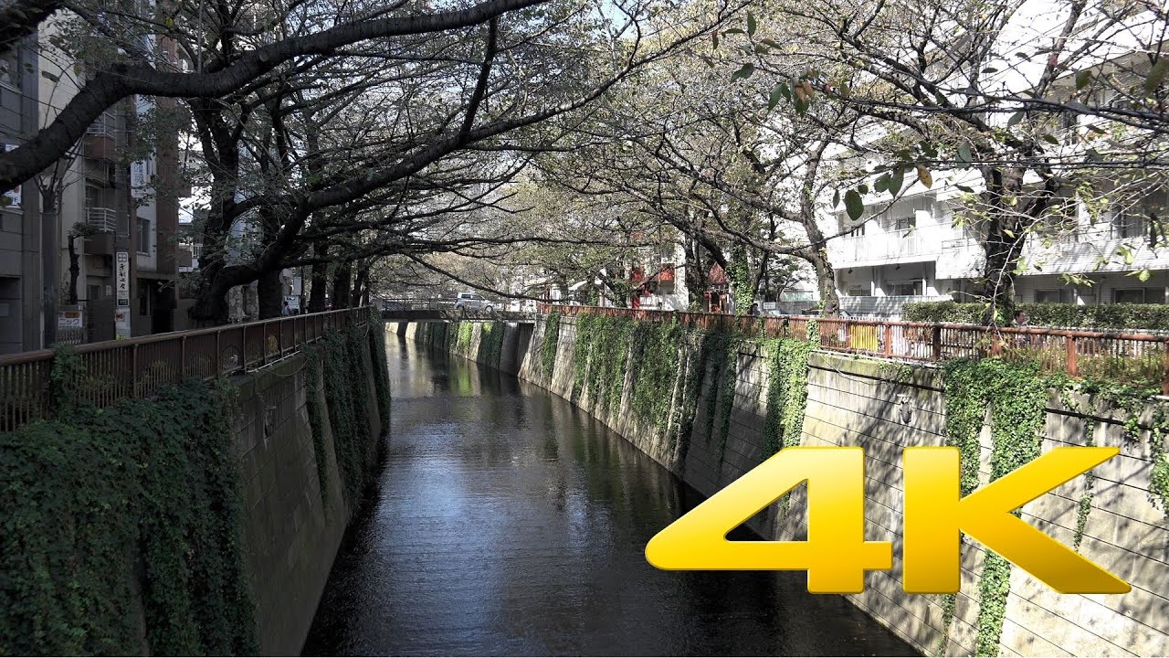 Nakameguro