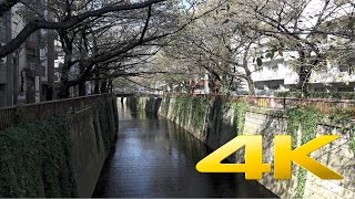 Nakameguro video preview