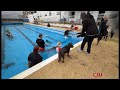 Annual Outdoor Doggy Dip 2025 Goes Ahead For One Day Only Fun Stuff UK