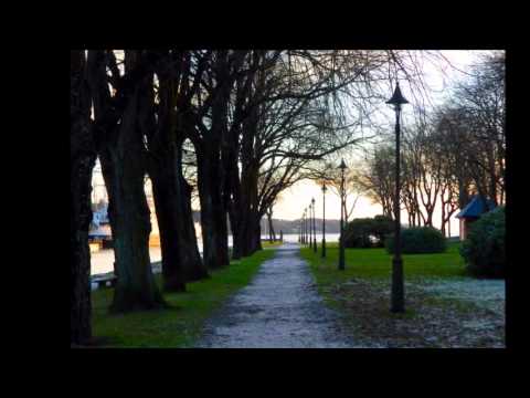 The Beauty of Moss, Norway