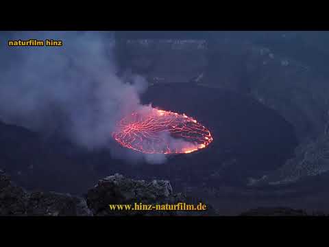 TRAILER website - naturfilm hinz