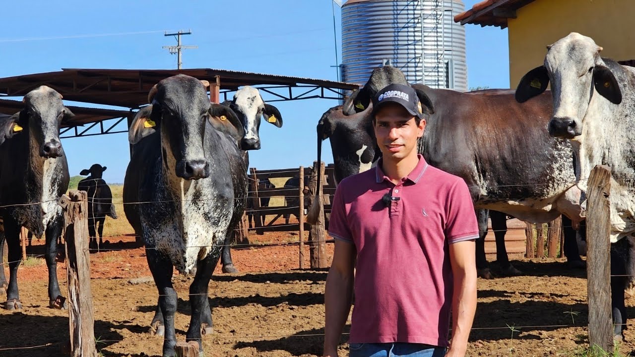 ALTO RESULTADO NO SISTEMA A PASTO