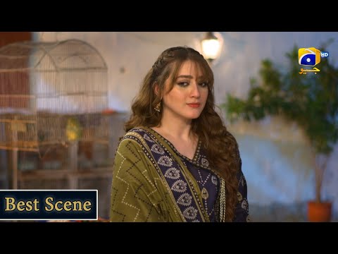 Grift Episode 44 || 𝗕𝗲𝘀𝘁 𝗦𝗰𝗲𝗻𝗲 𝟭𝟬 || Ali Abbas - Saniya Shamshad || Har Pal Geo