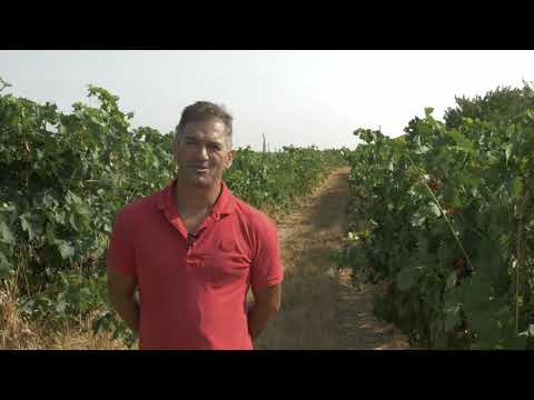 Boas práticas no concelho de Sousel