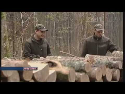 Teleexspress 3.11.2011r. (TVP 1)