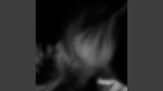 Cover art for shoot to kill