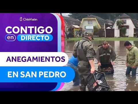TOTALMENTE ANEGADAS: Así quedaron casas de San Pedro de la Paz por temporal - Contigo en Directo