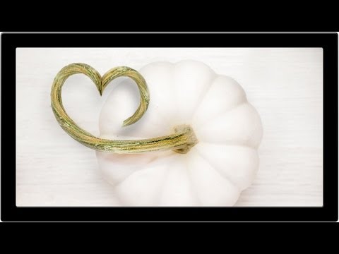 How to Set Up and Use a Wacom Tablet