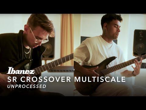 Демонстрация звучания бас-гитары Ibanez SRC6MS